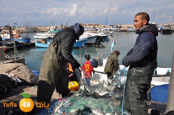 samak denisss (9).JPG